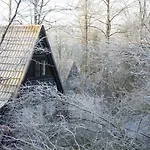Heerlijk In Bos Bij בקתה דורבורי