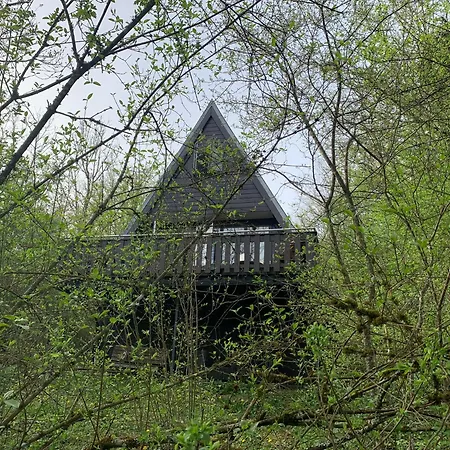 Chalet Heerlijk In Bos Bij