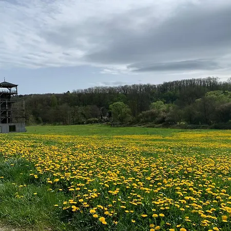 Heerlijk In Bos Bij *