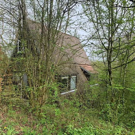 Chalet Heerlijk In Bos Bij