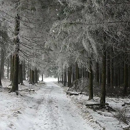 Heerlijk In Bos Bij 샬레 더뷔