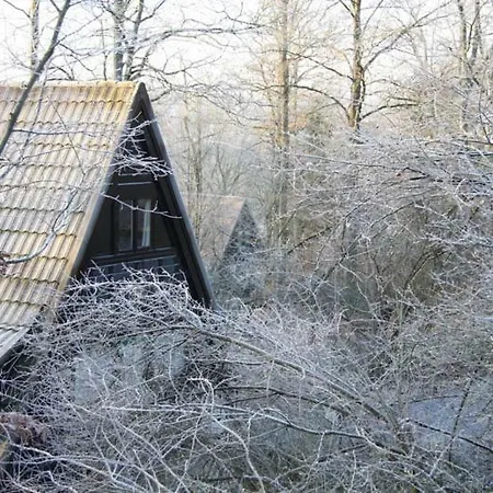 Heerlijk In Bos Bij 샬레 더뷔